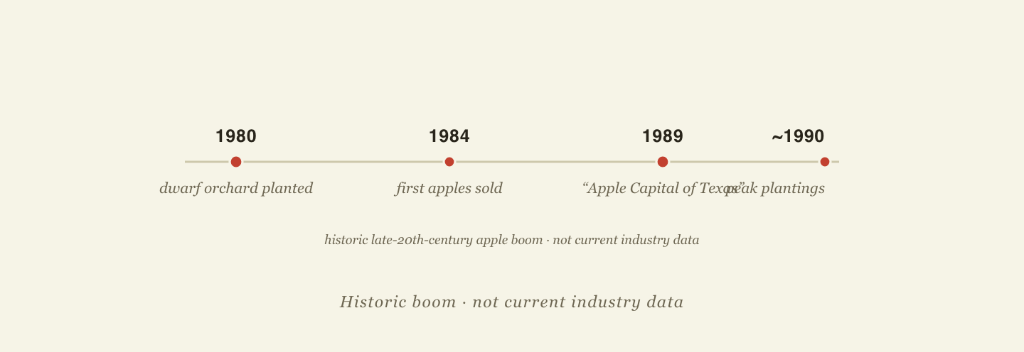 Timeline of Medina’s apple boom: 1980 dwarf orchard planted, 1984 first apples sold, 1989 named Apple Capital of Texas, and peak plantings around 1990