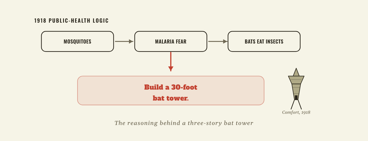 A flow diagram from mosquitoes to malaria fear to “bats eat insects,” concluding: build a 30-foot bat tower, as built at Comfort in 1918.